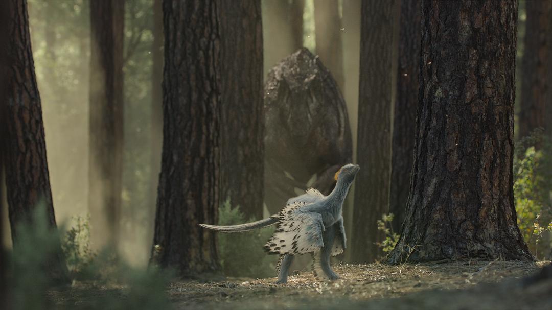 我们星球上的生命 Life on Our Planet插图12