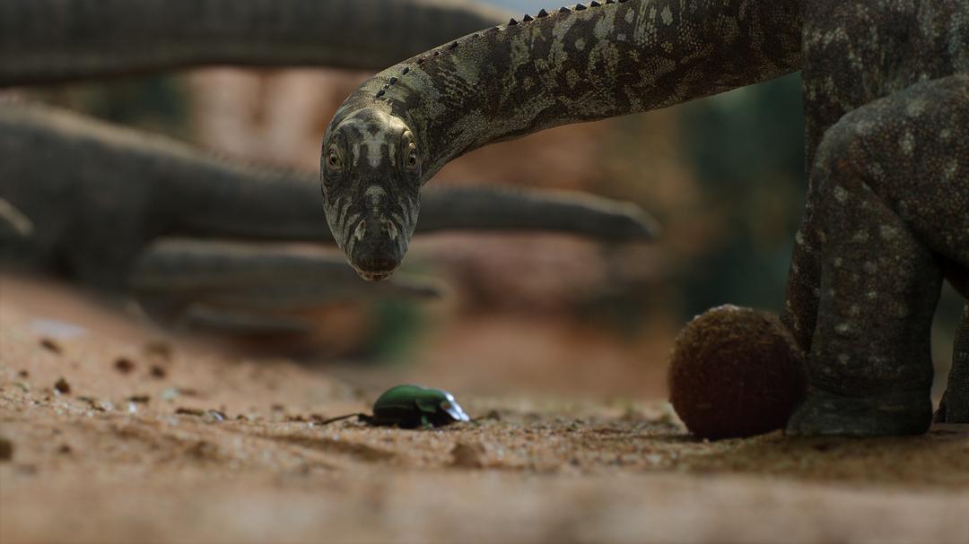我们星球上的生命 Life on Our Planet插图15
