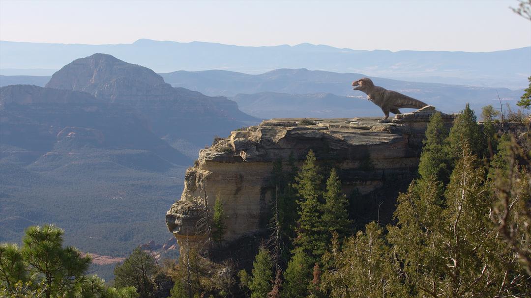 我们星球上的生命 Life on Our Planet插图16