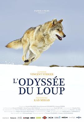狼之旅 L’Odyssée du Loup插图