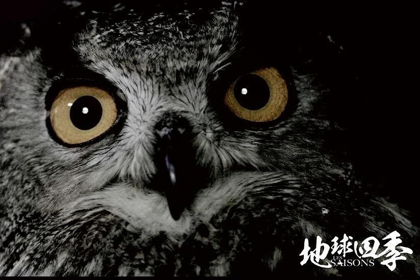 地球四季 Les saisons插图4