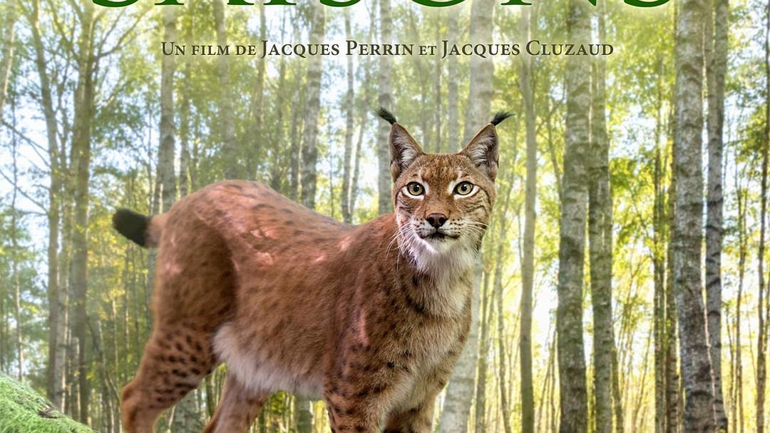 地球四季 Les saisons插图6