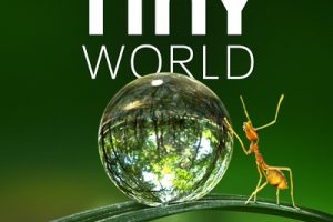 小小世界 第1-2季 Tiny World Season 1-2