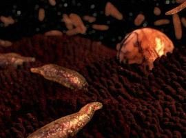 体内的怪物 第一季 Monsters Inside Me Season 1