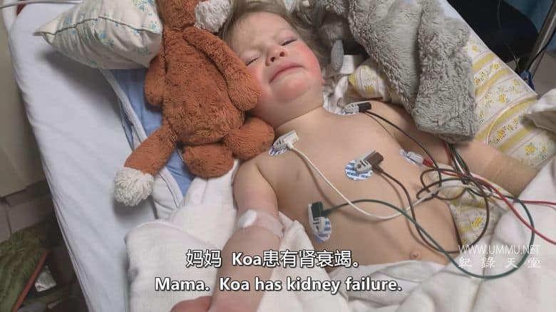 风暴中的蝴蝶 Butterfly in a Blizzard插图4