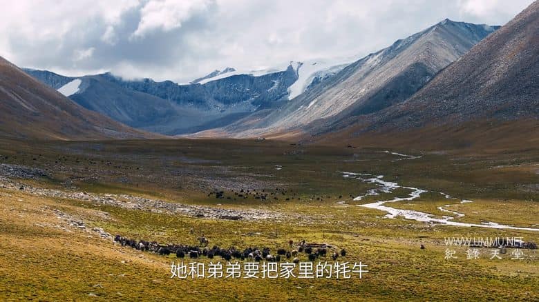 寻色中国 China in Hues插图2