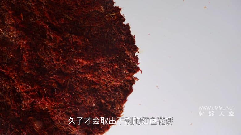 寻色中国 China in Hues插图3