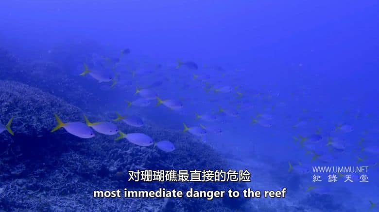 科学家能拯救世界吗？Can Scientists Save the World?插图4