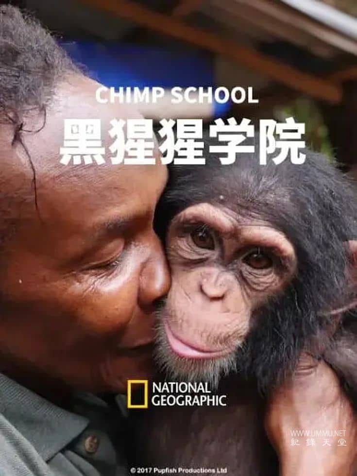 黑猩猩学院 Chimp School插图