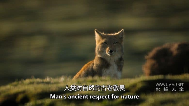 中国：自然古国 China：Nature's Ancient Kingdom插图2
