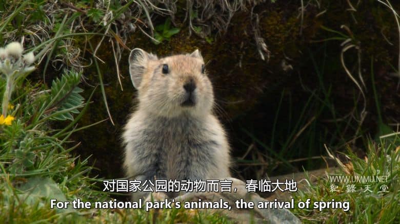 中国：自然古国 China：Nature's Ancient Kingdom插图4