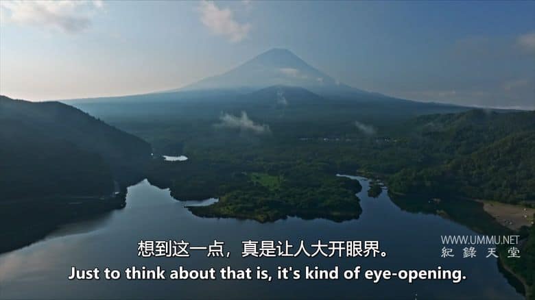 虫临天下 Bugs That Rule the World插图5