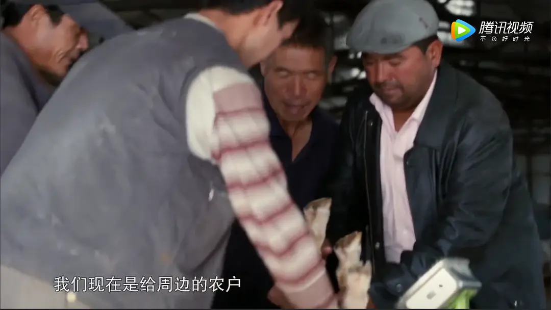 我到新疆去插图1