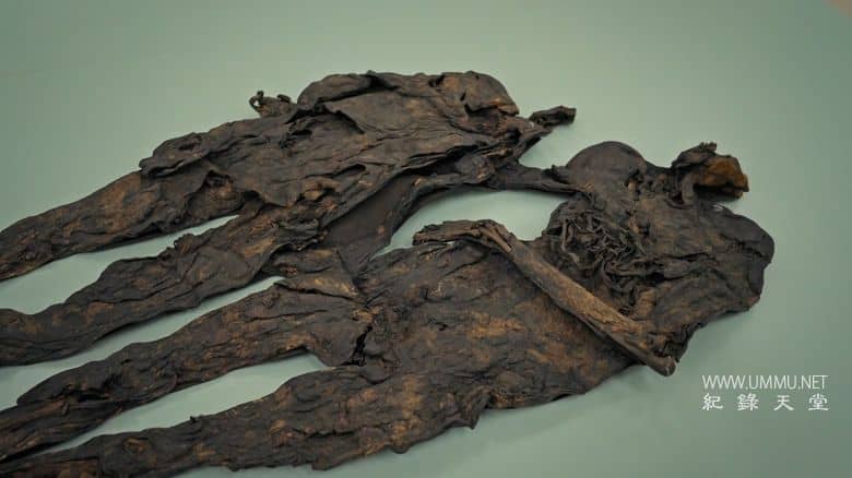 古尸揭秘：解开谜团 Ancient Bodies: Secrets Revealed插图4