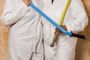 垃圾屋克星 Call the Cleaners