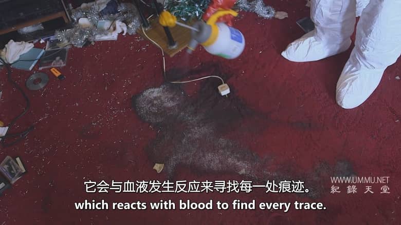 垃圾屋克星 Call the Cleaners插图5