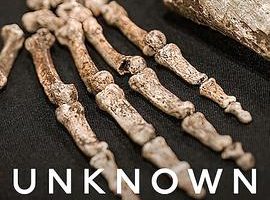 地球未知档案：骸骨洞穴 Unknown: Cave of Bones