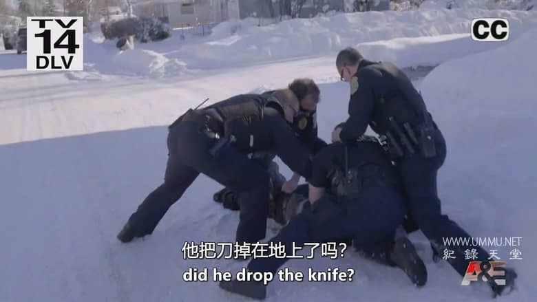 阿拉斯加警察 Alaska PD插图4