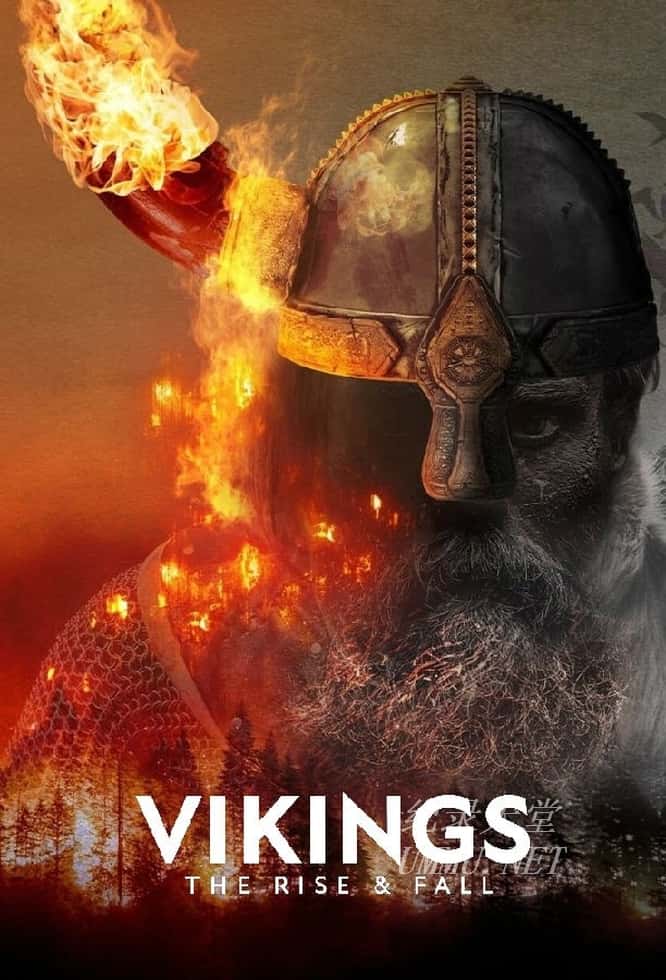 维京人：崛起与衰落 Vikings: The Rise and Fall插图