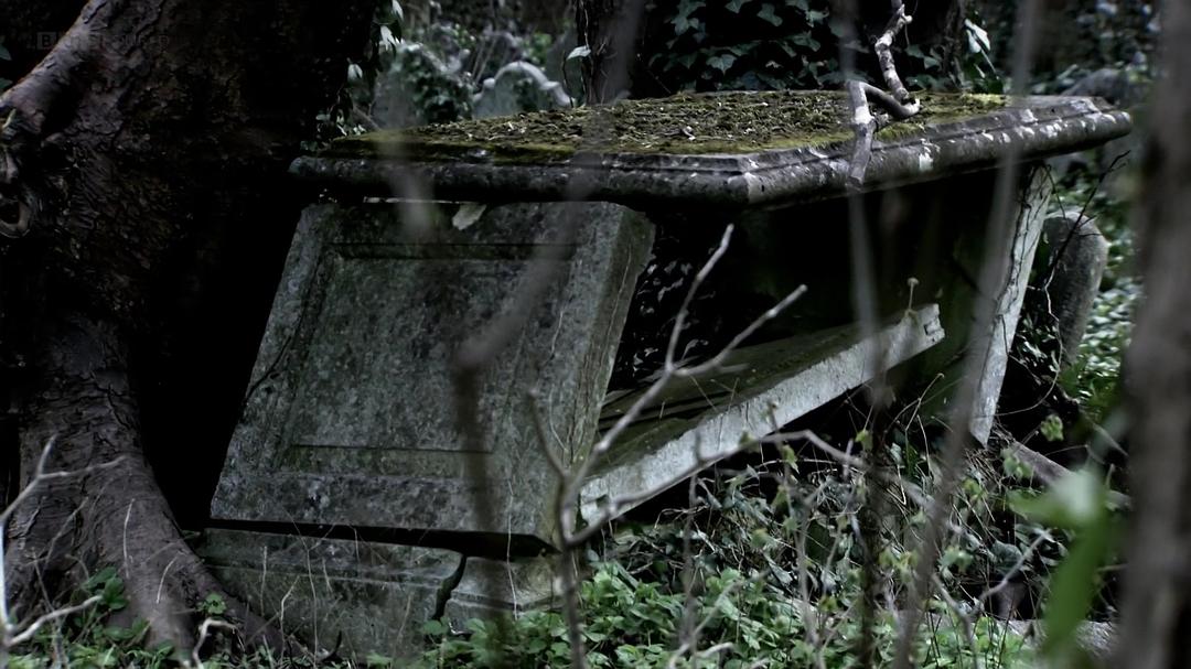 哥特艺术 The Art of Gothic: Britain's Midnight Hour插图14