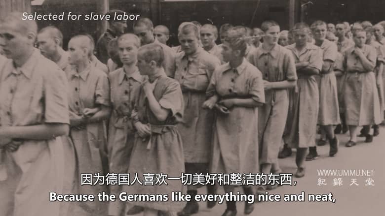 我的纳粹指挥官父亲 The Commandant’s Shadow插图2