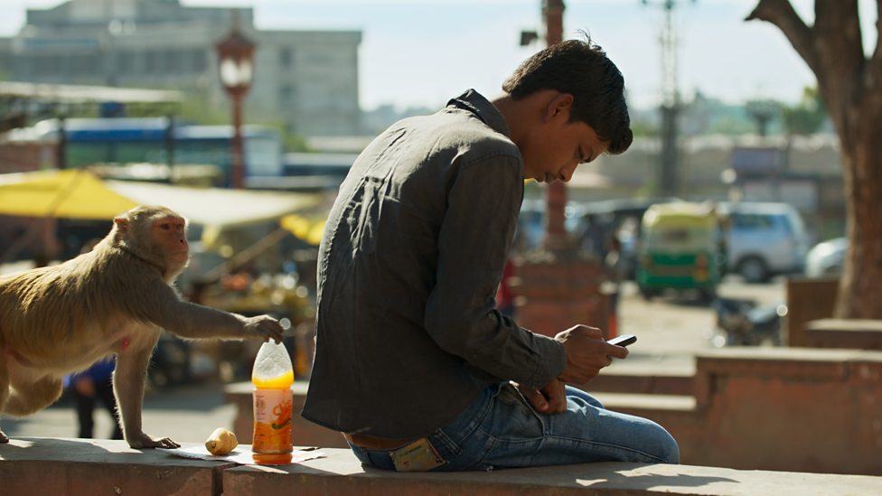 地球脉动 第二季 Planet Earth Season 2插图9