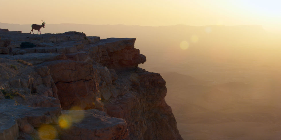 地球脉动 第二季 Planet Earth Season 2插图10