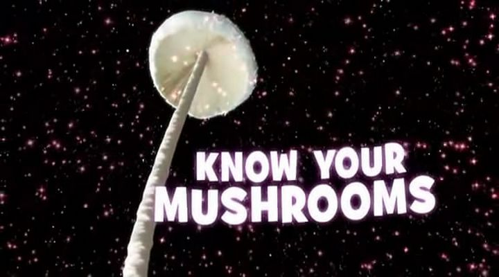了解你的蘑菇 Know Your Mushrooms插图3
