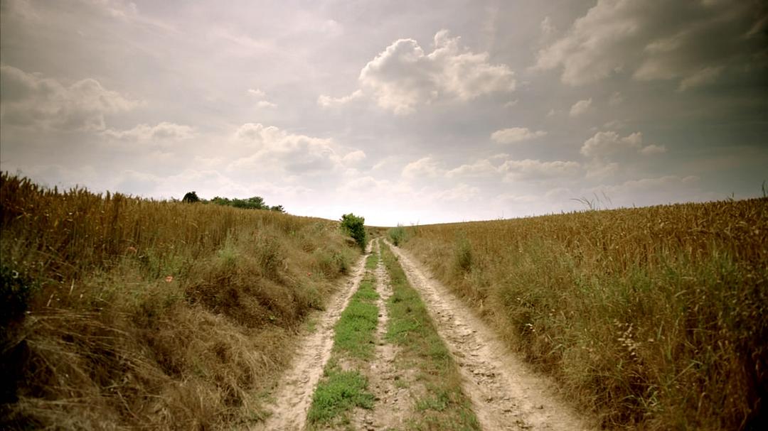 梵高：天赋之笔 Moi, Van Gogh插图5