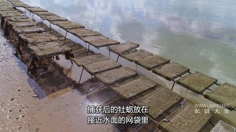 戈登-拉姆塞：未知对决 Gordon Ramsay: Uncharted Showdown插图1