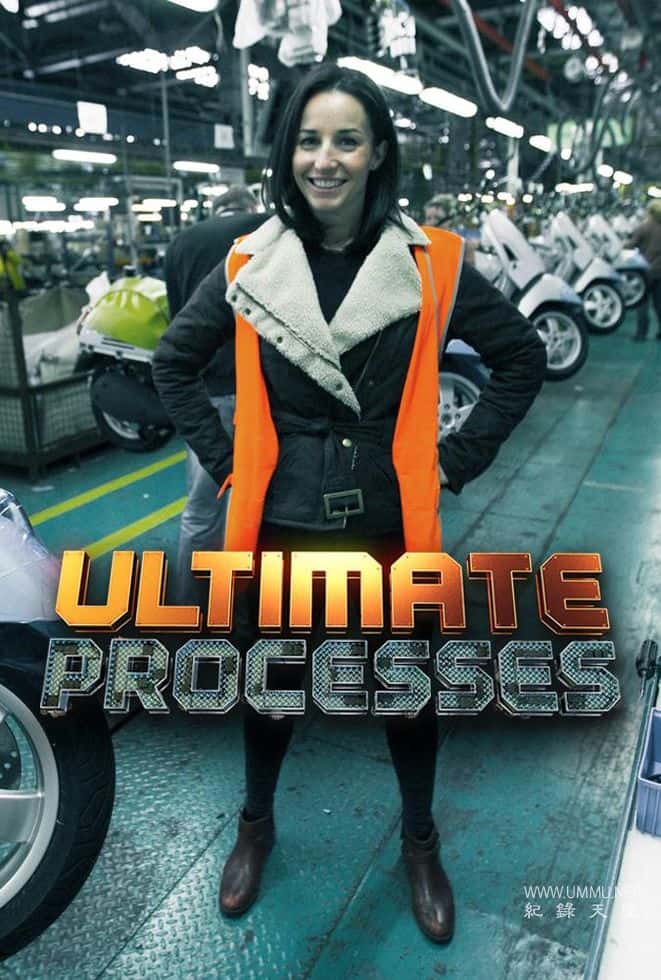 终极流程 Ultimate Processes插图