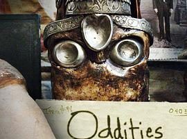 奇异世界 第一季 Discovery Channel: Oddities Season 1