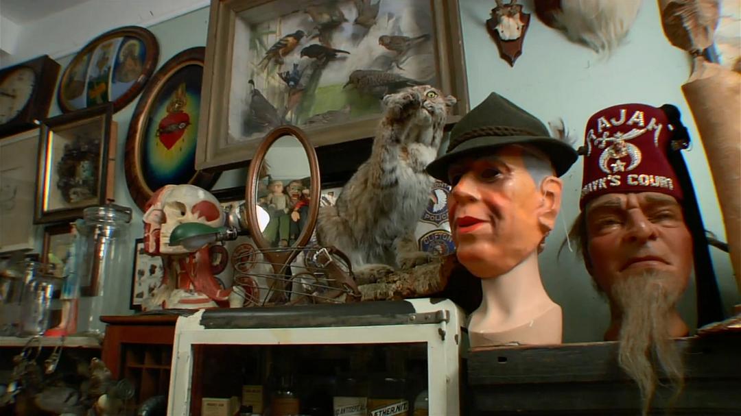 奇异世界 第一季 Discovery Channel: Oddities Season 1插图3