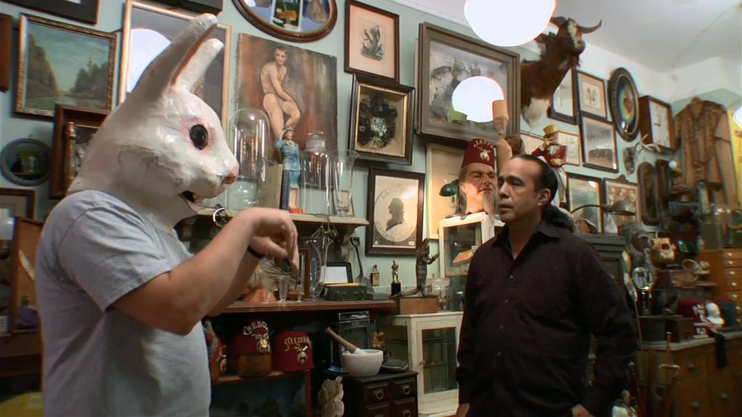 奇异世界 第一季 Discovery Channel: Oddities Season 1插图4