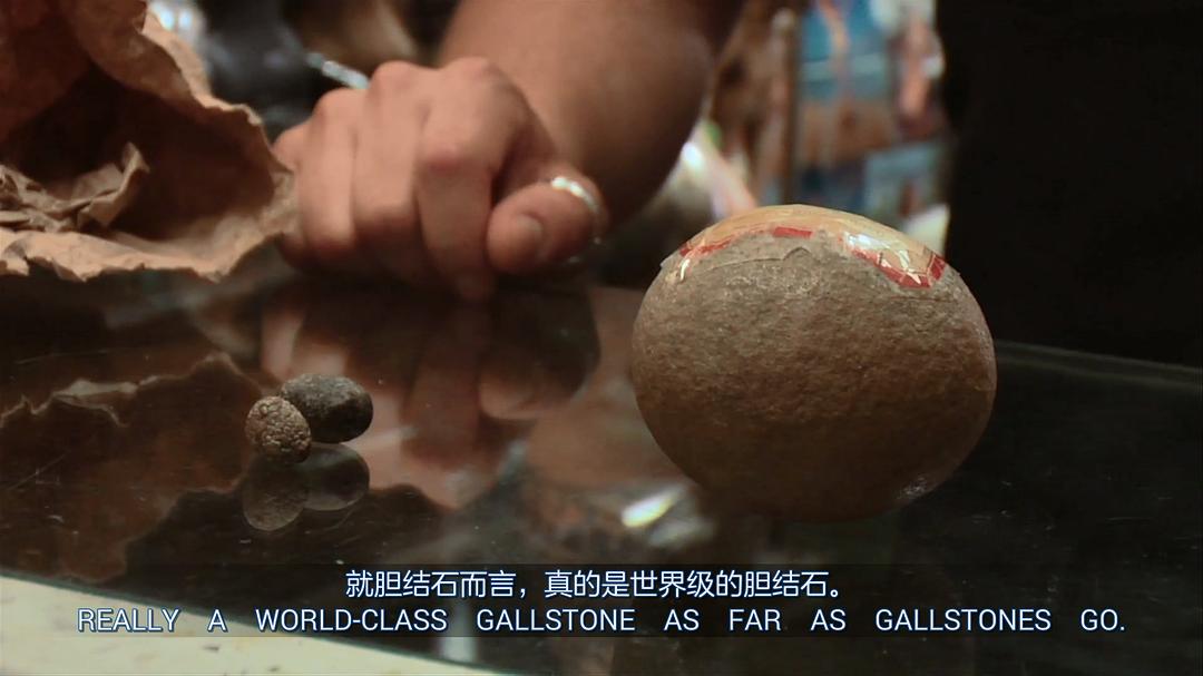 奇异世界 第一季 Discovery Channel: Oddities Season 1插图5