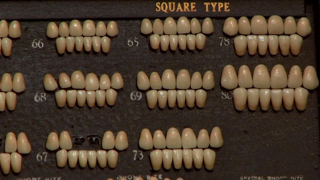 奇异世界 第一季 Discovery Channel: Oddities Season 1插图8