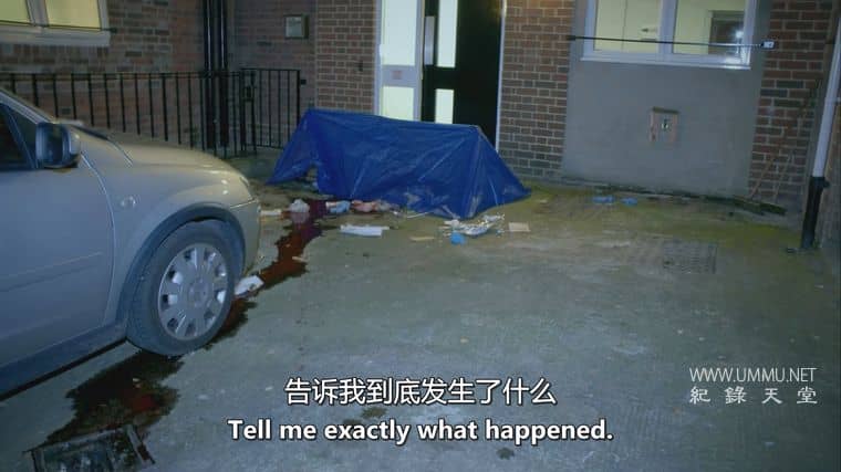 凶杀侦缉档案 The Murder Detectives插图2