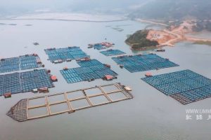 下饭魂·下饭江湖