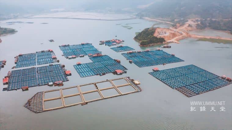 下饭魂·下饭江湖插图1