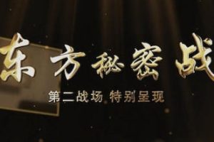 第二战场 东方秘密战 2022