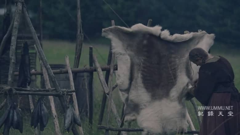 维京人的最后旅程 The Last Journey of the Vikings插图3