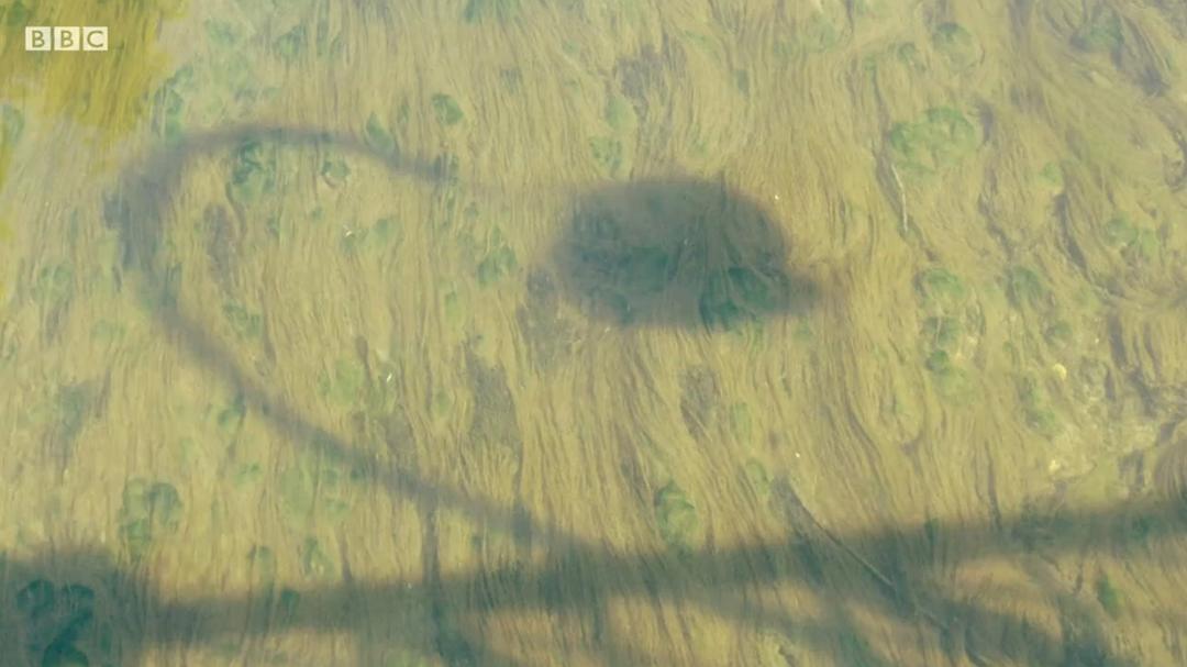 里克·斯坦的秘密法国 Rick Stein's Secret France插图5