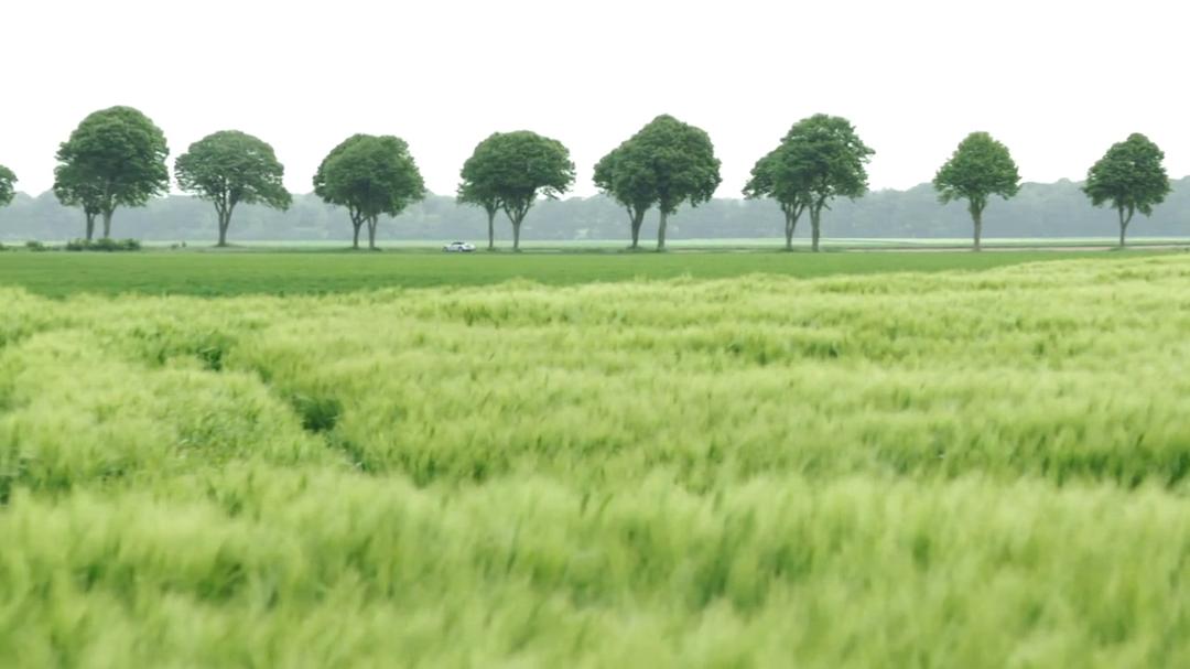 里克·斯坦的秘密法国 Rick Stein's Secret France插图15