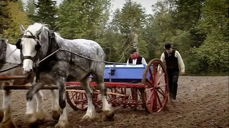 维多利亚时期的农场 Victorian Farm插图2