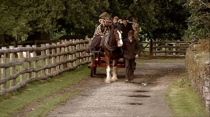 维多利亚时期的农场 Victorian Farm插图4