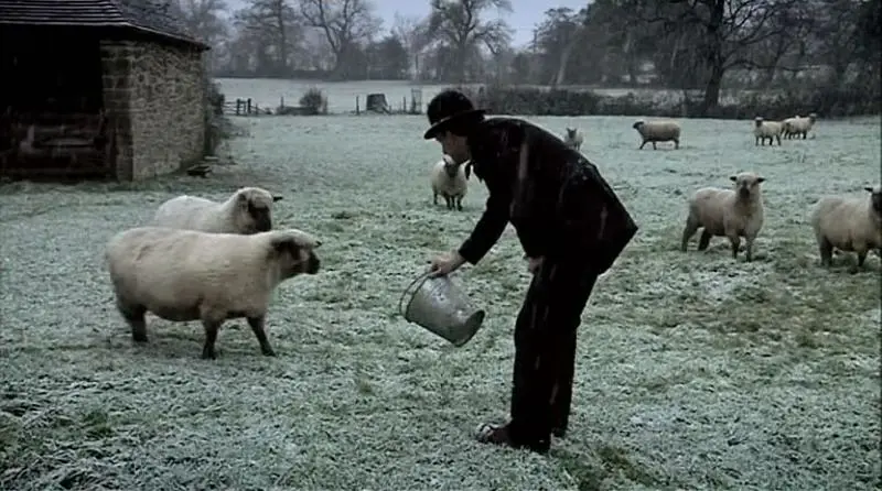 维多利亚时期的农场 Victorian Farm插图8