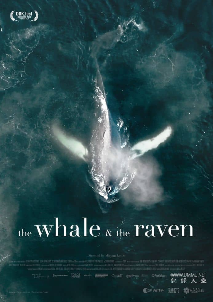 鲸鱼和乌鸦 The Whale and the Raven插图