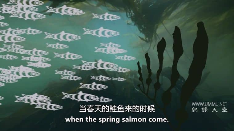 鲸鱼和乌鸦 The Whale and the Raven插图3