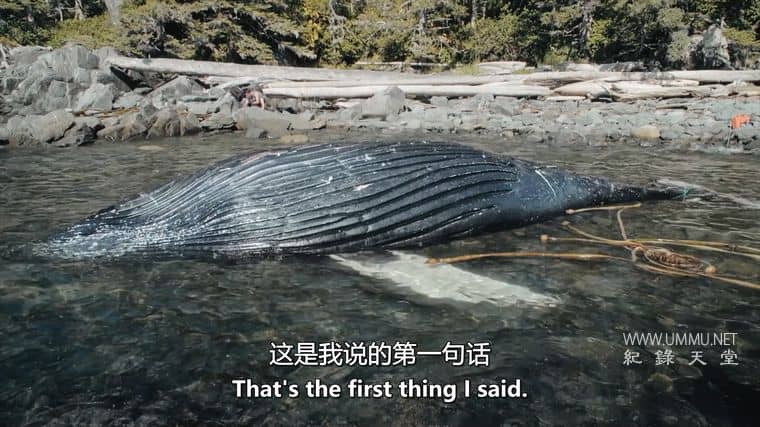 鲸鱼和乌鸦 The Whale and the Raven插图4