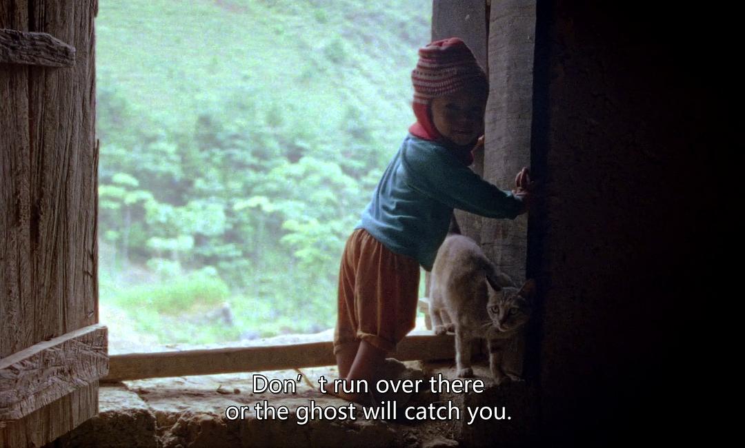 树房子 Nhà Cây插图5